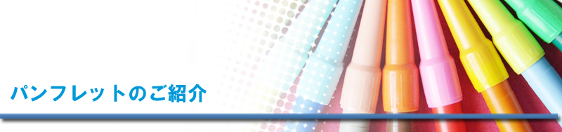 �p���t���b�g(2010�N)